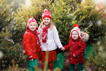 Kids buying Christmas tree