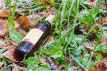 An Empty Beer Bottle Lies In The Grass Among Autumn Leaves And Pecker Snow
