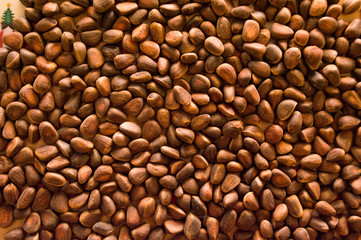 brown pine nuts background 