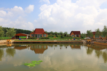 Poster - Summer view of the pond in the park