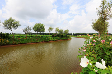 Canvas Print - River Natural Scenery, North China Plain, China