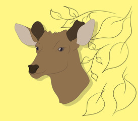 Wall Mural - portrait of a deer on a colored background