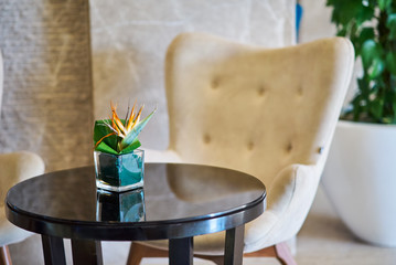 Wall Mural - White armchair and black round table with a plant in hotel lobby