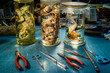 Natural sciences laboratory with glass jars where animals are conserved in formalin such as a chameleon, cat fetuses and a small bat. 