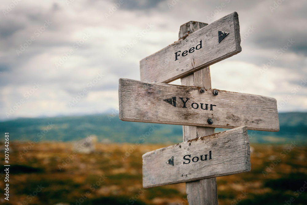 Feed your soul text on wooden rustic signpost outdoors in nature/mountain scenery. Meditation, wellness, positive concept. - obrazy, fototapety, plakaty 