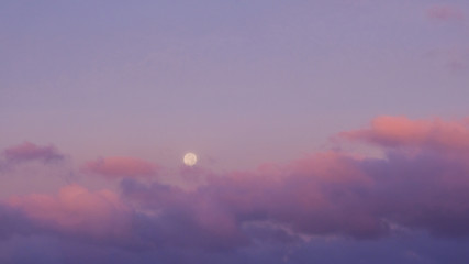 Wall Mural - Purple sunset sky with full moon. Nature background