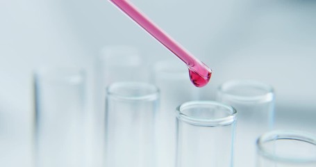 Wall Mural - close-up shot with hitting laboratory equipment. red liquid falling pipette in glass test tube.