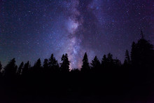 Travel Milky Way Night In Forest 