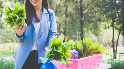 beautiful asian woman holding fresh green organic vegetable.teeth smile female gardeners stand in the vegetable farm.