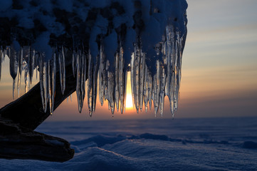 Wall Mural - icicles on the shore of a frozen lake at sunset.