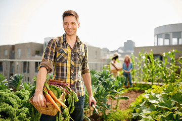 Wall Mural - Friendly team harvesting fresh vegetables from the rooftop green