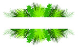 Fototapeta  - Vector flat cartoon tropical foliage, banner, floral design background, vector illustration with place for text