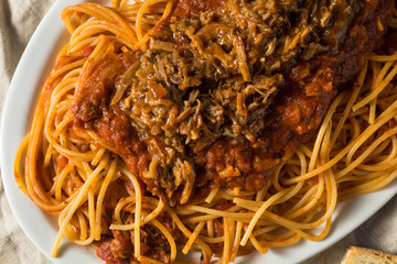 Canvas Print - Homemade Pulled Pork Barbecue Spaghetti