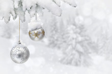 Sprig Of Christmas Tree With Of Hanging Silver Christmas Balls Covered Snow On Background Of Winter Fir Forest With Space For Text