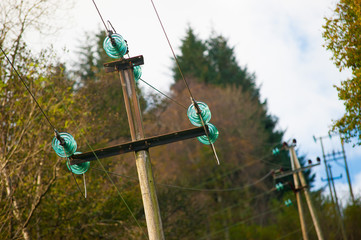 Power poles with green glass insulators.