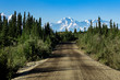 View of the road with mountain in the distance, Driving the Denali highway in Alaska in the summer