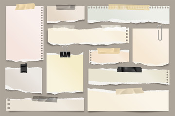 Wall Mural - colored ripped paper strips collection. realistic paper scraps with torn edges and adhesive tape. st