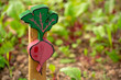 a beet wooden plant stake