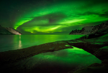 Wall Mural - aurora over okshornan