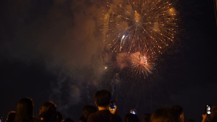 Sticker - People watching fireworks and recording video with smartphones