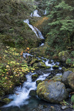 Bunch Falls, Olympic National Park, Washington