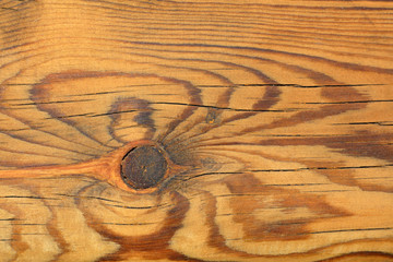 Wall Mural - Close-up of Wood Texture