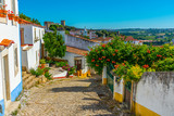 Fototapeta Uliczki - a narrow street inside of the obidos castle in Portugal