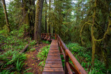 Fototapeta Dziecięca - Wooden path in a wild forest during a wet and rainy day. Taken in Rainforest Trail, near Tofino and Ucluelet, Vancouver Island, BC, Canada.