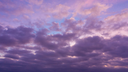Wall Mural - Sunset sky magenta orange gradient mesh Impressive saturated colors