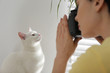 © New Africa - Professional animal photographer taking picture of beautiful white cat indoors, closeup
