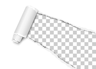 Wall Mural - Vector diagonally torn hole in white sheet of paper from lower right corner with cur and  soft shadow