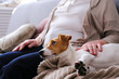 © Evrymmnt - Emotional support animal concept. Portrait of elderly woman with jack russell terrier dog. Old lady and her pet sittinng on grey textile sofa. Close up, copy space, background.