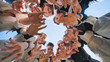 © Довидович Михаил - Happy friends connected in a ring together. View from the bottom. The concept of strong friendship.