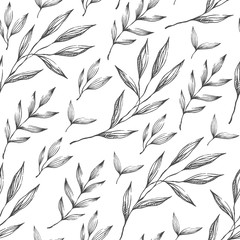 Wall Mural - Pattern texture modern plant leaf botanical sketch art  berries social media instagram modern 