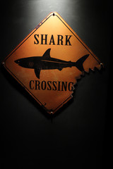 Shark Crossing