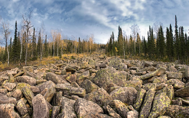 Wall Mural - panoramic autumn landscape in the mountains, stone river-kurumnik, mound of large stones of the ice age.