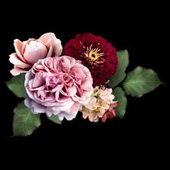  Pink roses, dark red zinnia, hydrangea isolated on black background. Vintage floral arrangement, bouquet of garden flowers. Can be used for invitations, greeting, wedding card.