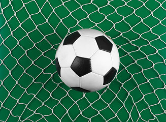 Canvas Print - classic soccer ball and net isolated on green background