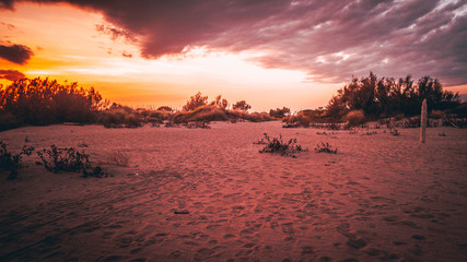 Wall Mural - Tramonto in una spiaggia del nord Italia