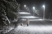 Walk With The Dog In The Night-in The Snow By The Light Of Lanterns.