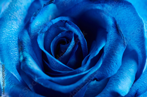 Dekoracja na wymiar  niebieskie-tlo-roza