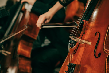 Symphony orchestra on stage, hands playing cello