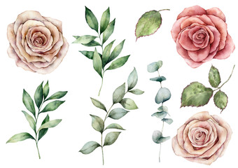 Watercolor floral set. Hand painted vintage flowers, pink roses and eucalyptus leaves isolated on white background. Botanical creativity illustration for design, print, fabric or background.