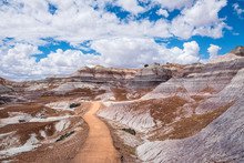 Beautiful, Colorful Hues Form The Canyons Along The Main Path Of The Blue Mesa Trail - Petrified Forest National Park