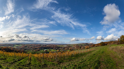 Canvas Print - Donzenac (Corrèze, France) - Vignoble en automne