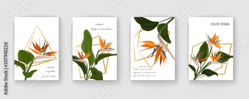 Cuadros en Lienzo Wedding invitation with Strelitzia flowers