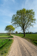 Dirt Road Leading Through The Outskirts Of The Veluwe Into The IJssel Valley Near Loenen (The Netherlands)