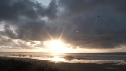 Wall Mural - Birds Soar Through Sunset Sky Over Ocean Beach Scenic