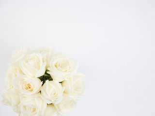 Poster - White roses isolated on white background