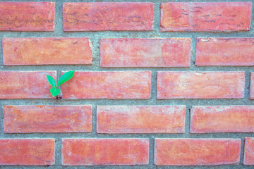 Small seed green plant on the red brick wall.